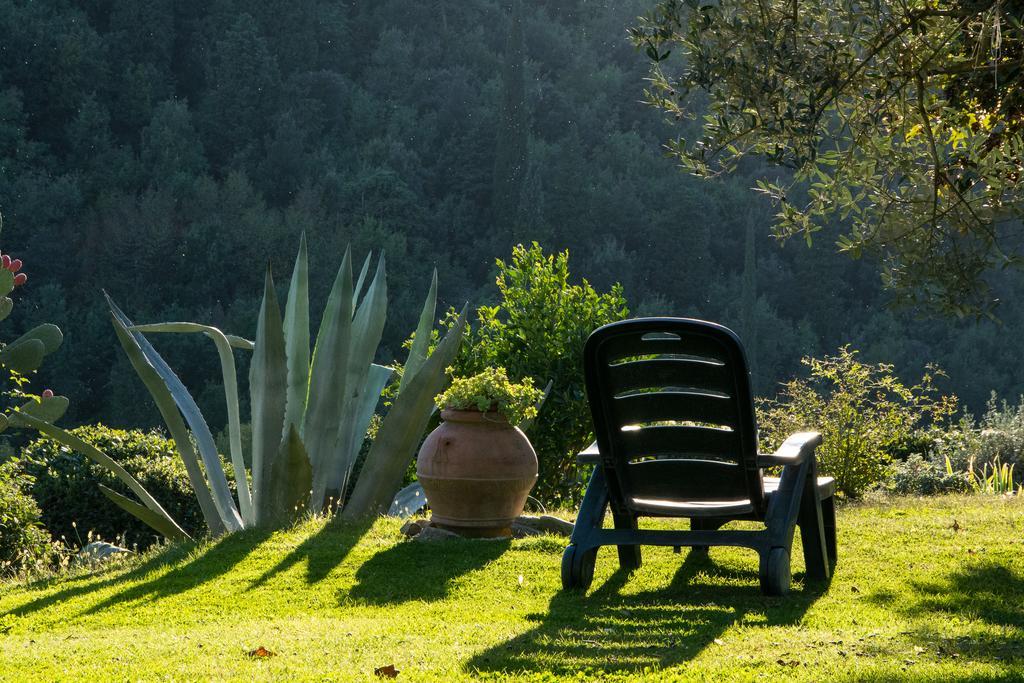 Villa La Sassaia Carmignano Esterno foto