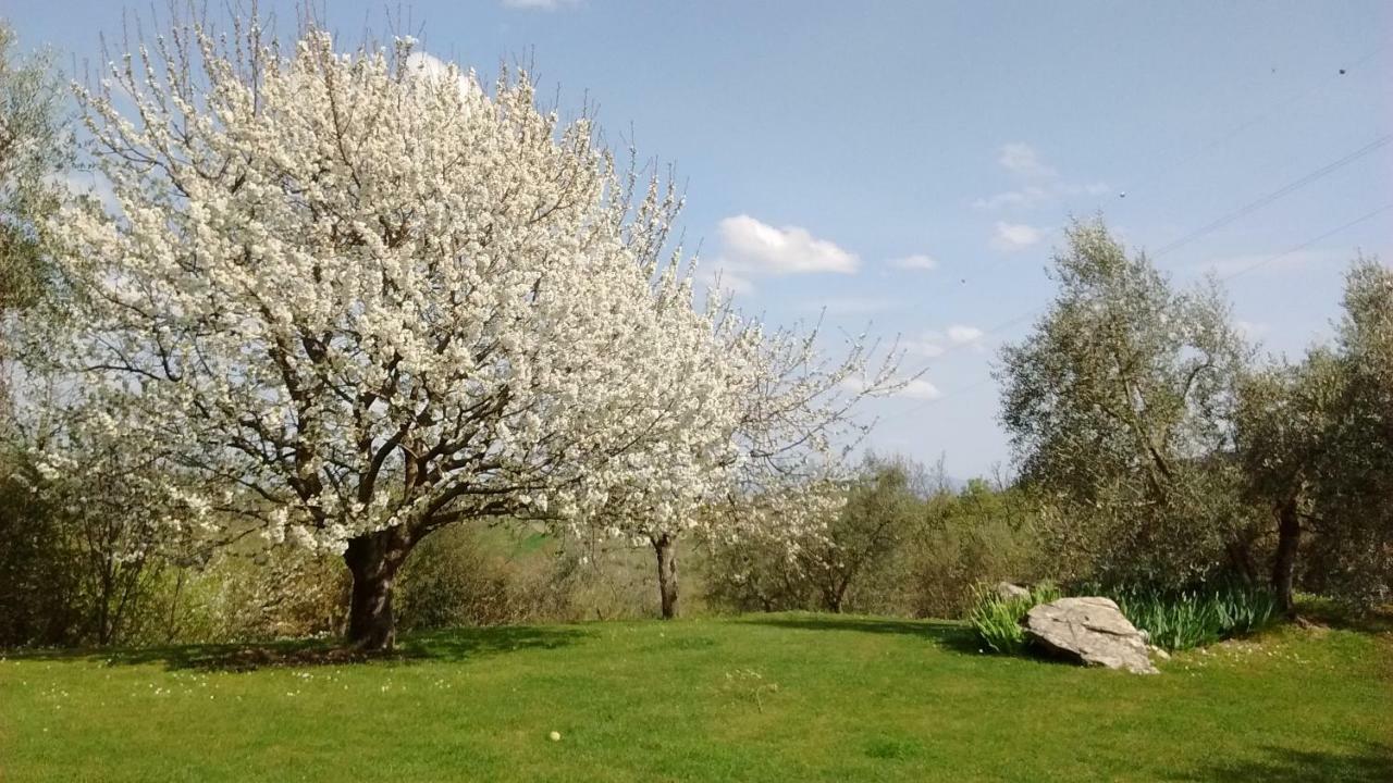Villa La Sassaia Carmignano Esterno foto